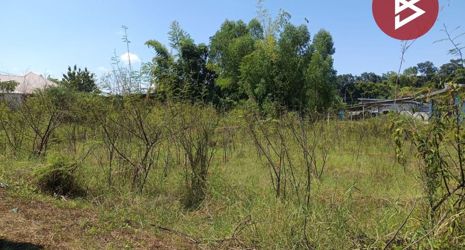 For sale land in Mueang Bung Kan, Bueng Kan