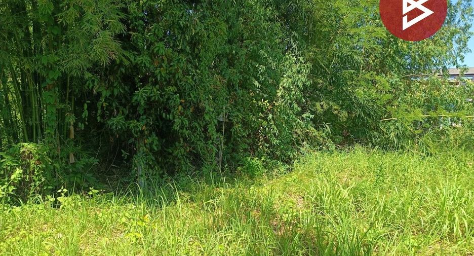 For sale land in Mueang Bung Kan, Bueng Kan