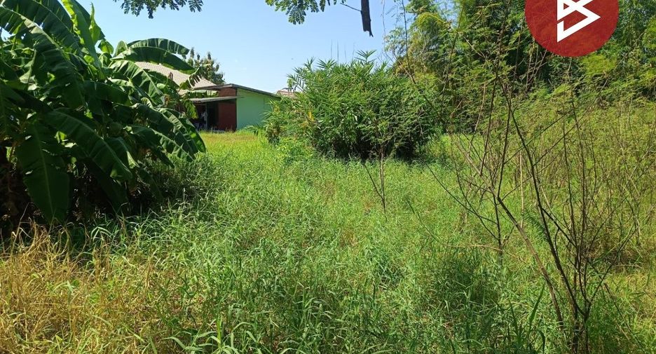 For sale land in Mueang Bung Kan, Bueng Kan