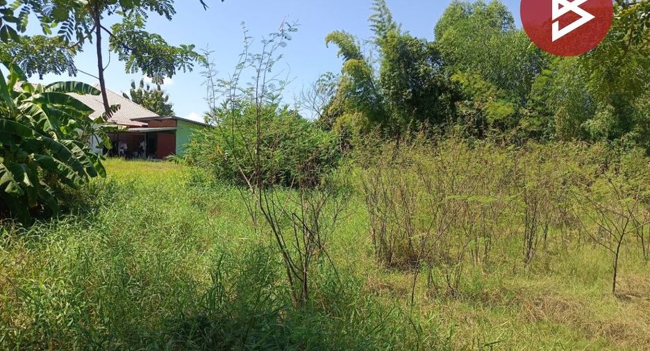 For sale land in Mueang Bung Kan, Bueng Kan