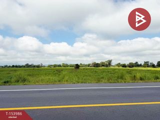 For sale land in Chiang Kham, Phayao