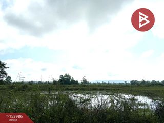 For sale land in Chiang Kham, Phayao