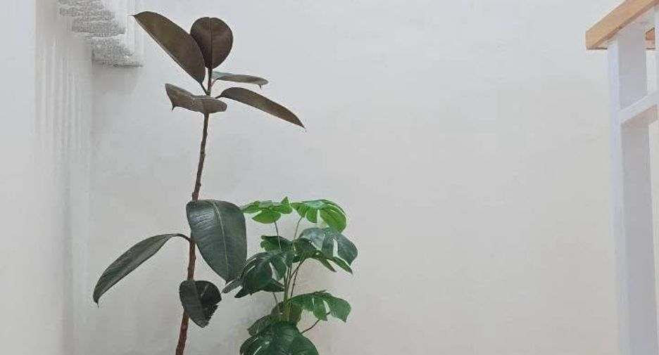 Haus zur Miete mit 3 Zimmer in Saraphi, Chiang Mai