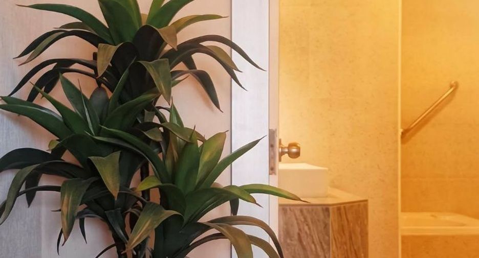 À louer 1 chambre condo à Jomtien, Pattaya
