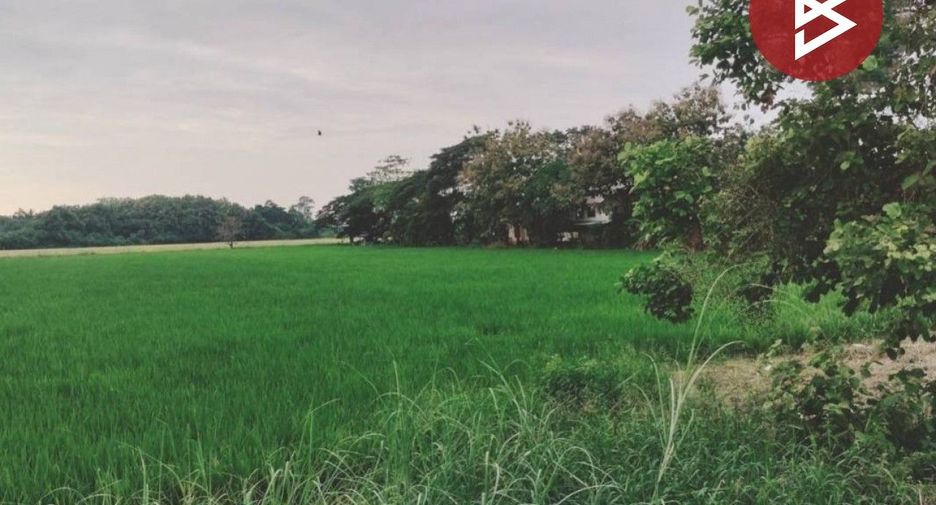 For sale land in Mueang Phitsanulok, Phitsanulok