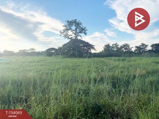 For sale land in Chiang Kham, Phayao