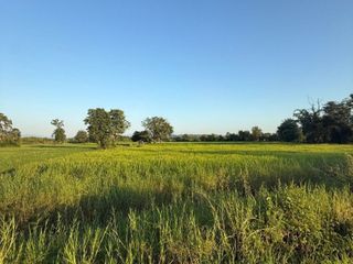 For sale land in Chiang Kham, Phayao