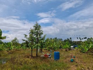 ขาย ที่ดิน ใน นายายอาม, จันทบุรี