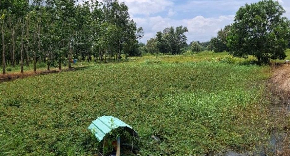 ขาย ที่ดิน ใน นายายอาม, จันทบุรี