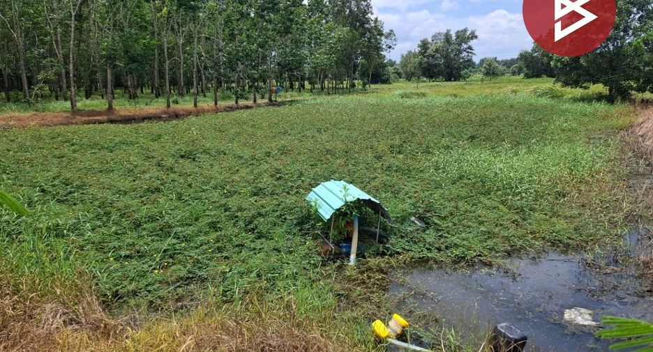 ขาย ที่ดิน ใน นายายอาม, จันทบุรี