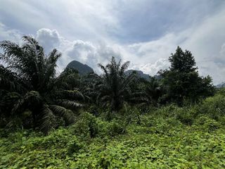 Grundstück zum Kauf in Mueang Krabi, Krabi