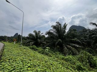Grundstück zum Kauf in Mueang Krabi, Krabi