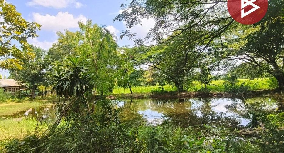 For sale land in Mueang Khon Kaen, Khon Kaen