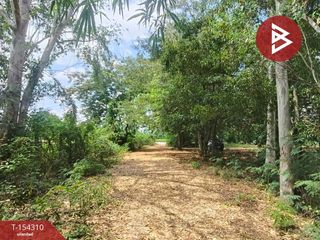 For sale land in Mueang Khon Kaen, Khon Kaen