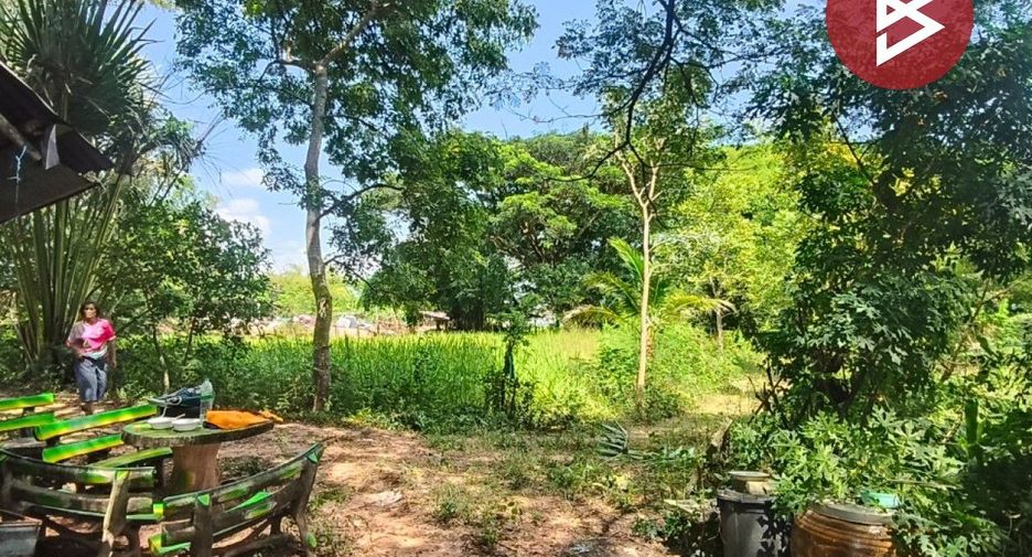 For sale land in Mueang Khon Kaen, Khon Kaen