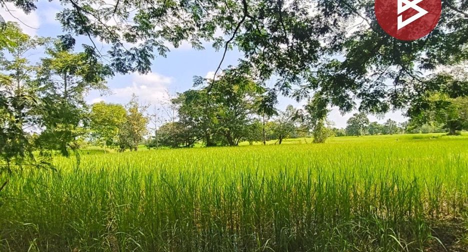 For sale land in Mueang Khon Kaen, Khon Kaen