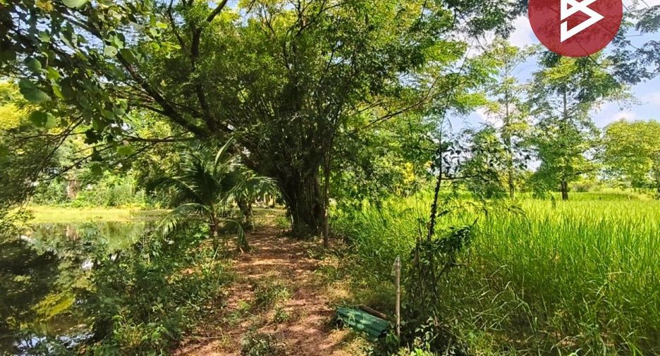 For sale land in Mueang Khon Kaen, Khon Kaen
