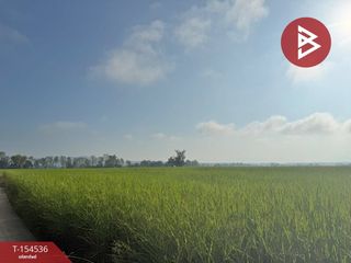 For sale land in Chiang Kham, Phayao