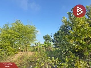 For sale land in Chiang Kham, Phayao