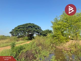 For sale land in Chiang Kham, Phayao