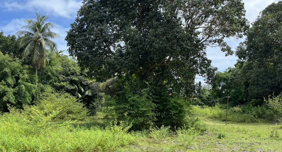 Terreno en venta en Ko Yao, Phang Nga