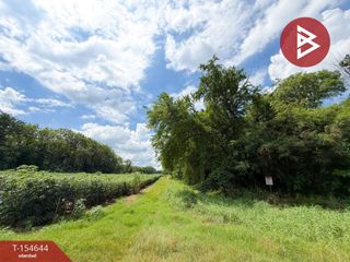 For sale land in Chai Badan, Lopburi