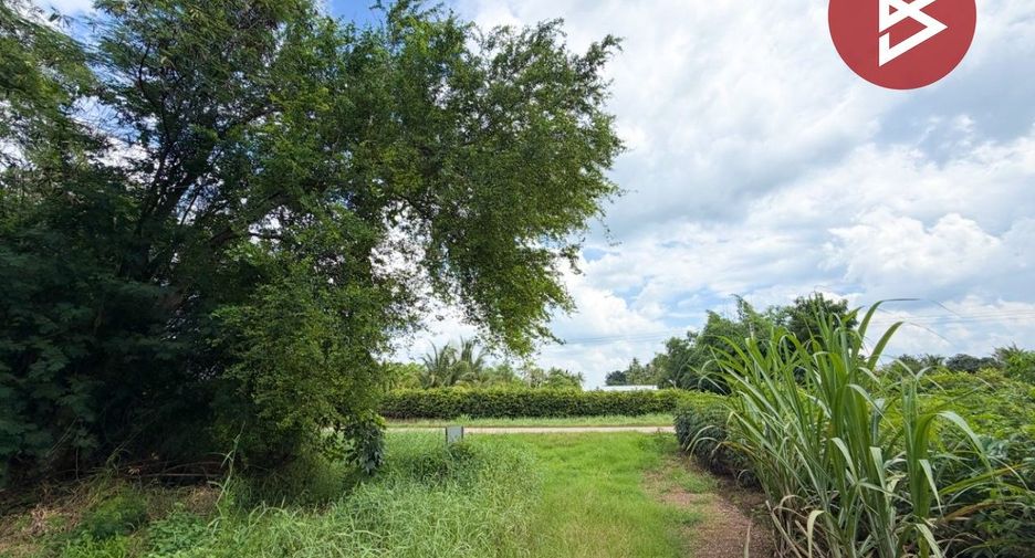 For sale land in Chai Badan, Lopburi