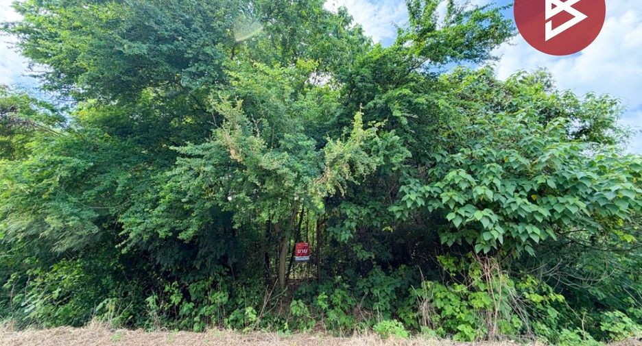 For sale land in Chai Badan, Lopburi