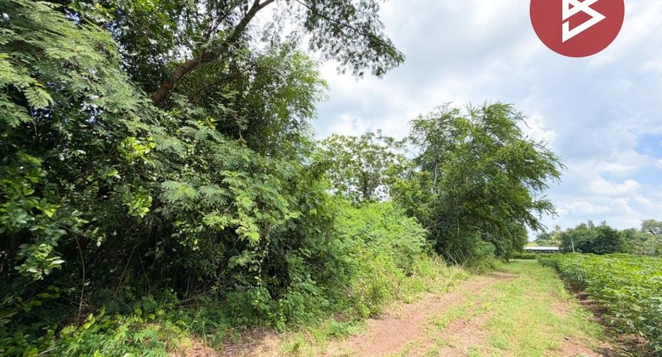 For sale land in Chai Badan, Lopburi
