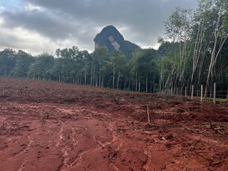 Grundstück zum Kauf in Mueang Krabi, Krabi