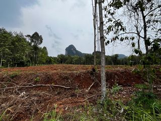 Grundstück zum Kauf in Mueang Krabi, Krabi