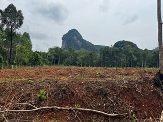 Grundstück zum Kauf in Mueang Krabi, Krabi