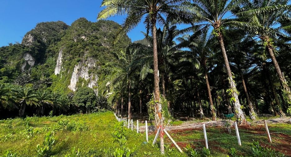 Grundstück zum Kauf in Mueang Krabi, Krabi