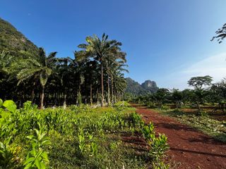 Grundstück zum Kauf in Mueang Krabi, Krabi