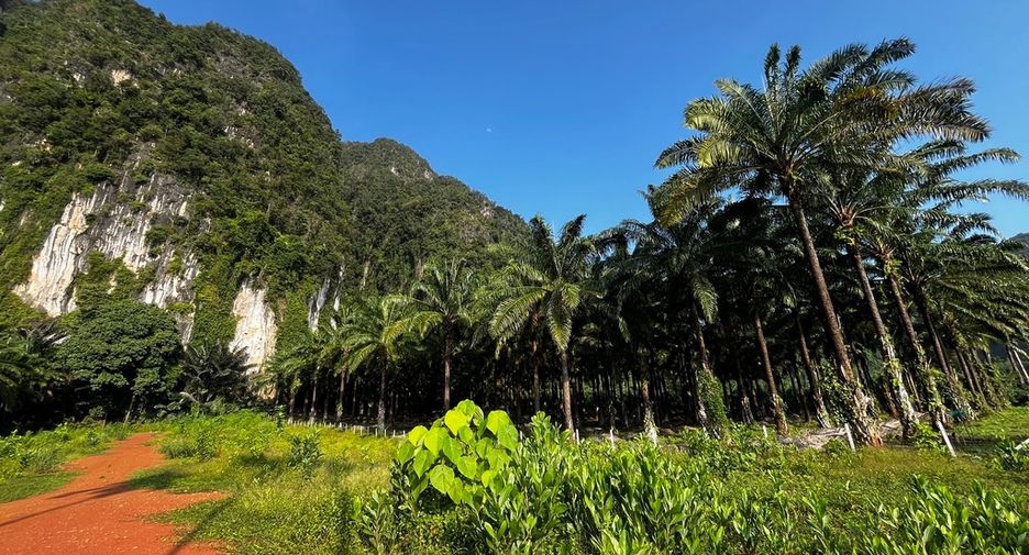 Grundstück zum Kauf in Mueang Krabi, Krabi
