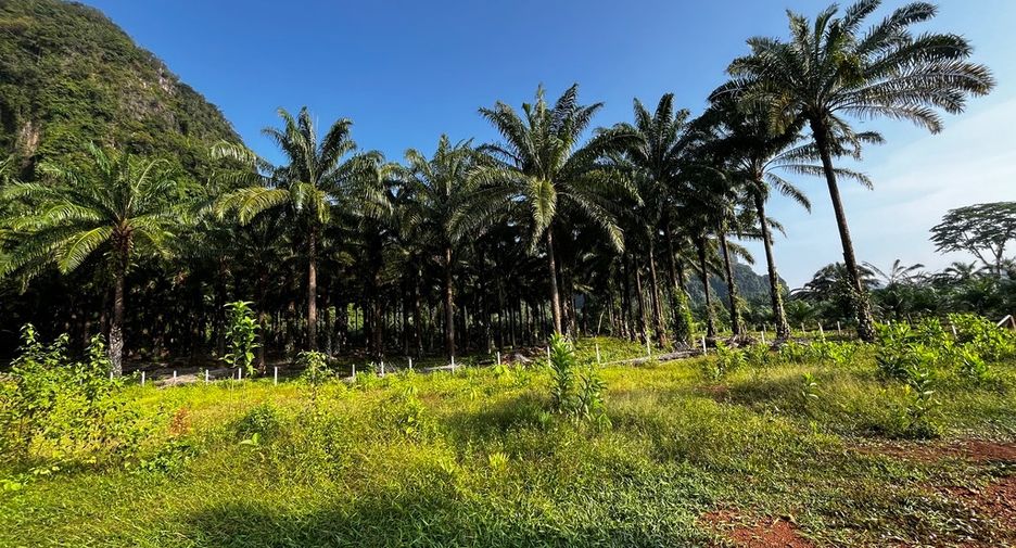 Grundstück zum Kauf in Mueang Krabi, Krabi
