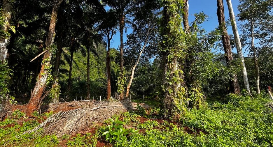 Grundstück zum Kauf in Mueang Krabi, Krabi