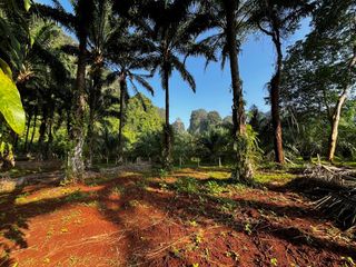 Grundstück zum Kauf in Mueang Krabi, Krabi