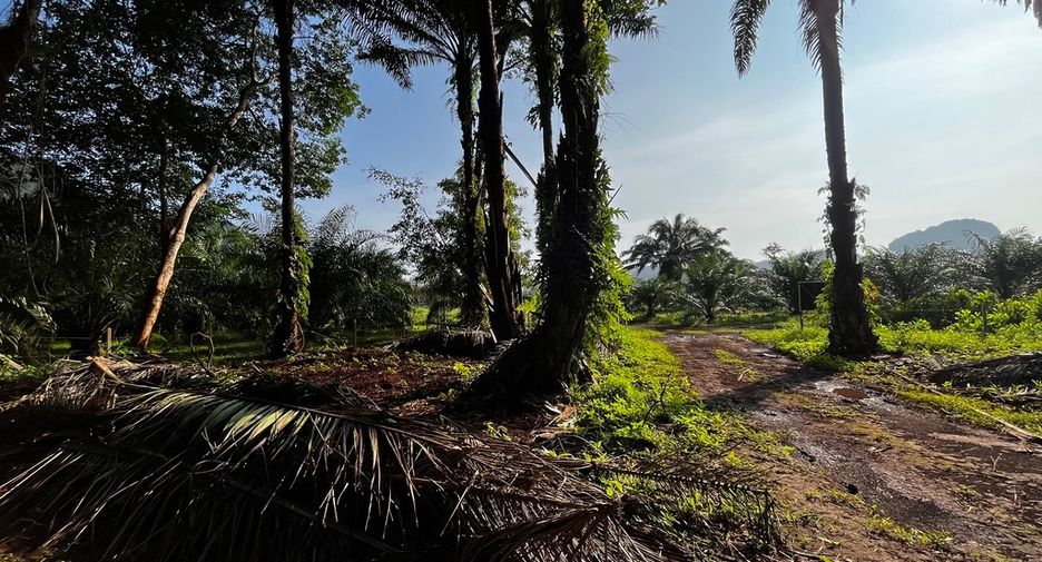 Grundstück zum Kauf in Mueang Krabi, Krabi