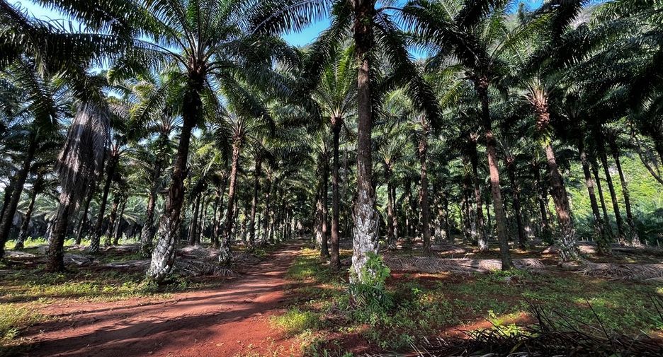 Grundstück zum Kauf in Mueang Krabi, Krabi
