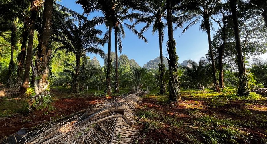 Grundstück zum Kauf in Mueang Krabi, Krabi