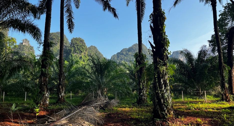 Grundstück zum Kauf in Mueang Krabi, Krabi