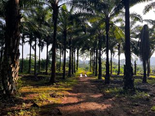 Grundstück zum Kauf in Mueang Krabi, Krabi