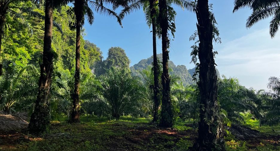 Grundstück zum Kauf in Mueang Krabi, Krabi