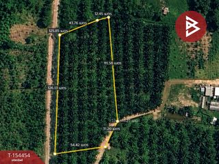 Продажа Участок в Mueang Phangnga, Пханга