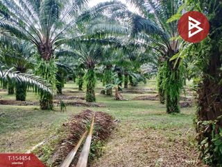 Продажа Участок в Mueang Phangnga, Пханга