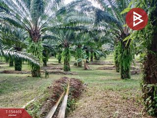 Продажа Участок в Mueang Phangnga, Пханга