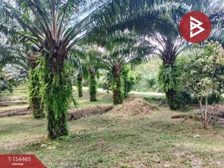 Продажа Участок в Mueang Phangnga, Пханга