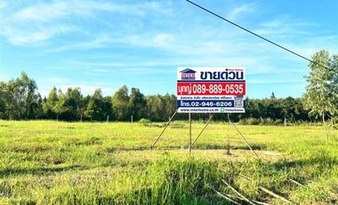 Grundstück zum Kauf in Phen, Udon Thani