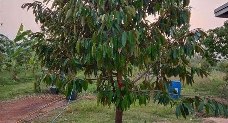 Terreno en venta en Dan Chang, Suphan Buri